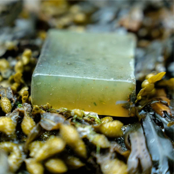 Hebridean Seaweed Gabón de Glicerina - Imagen 5